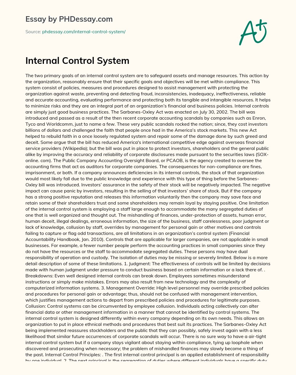 Internal Control System essay