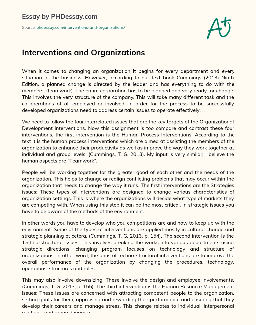 Interventions and Organizations essay