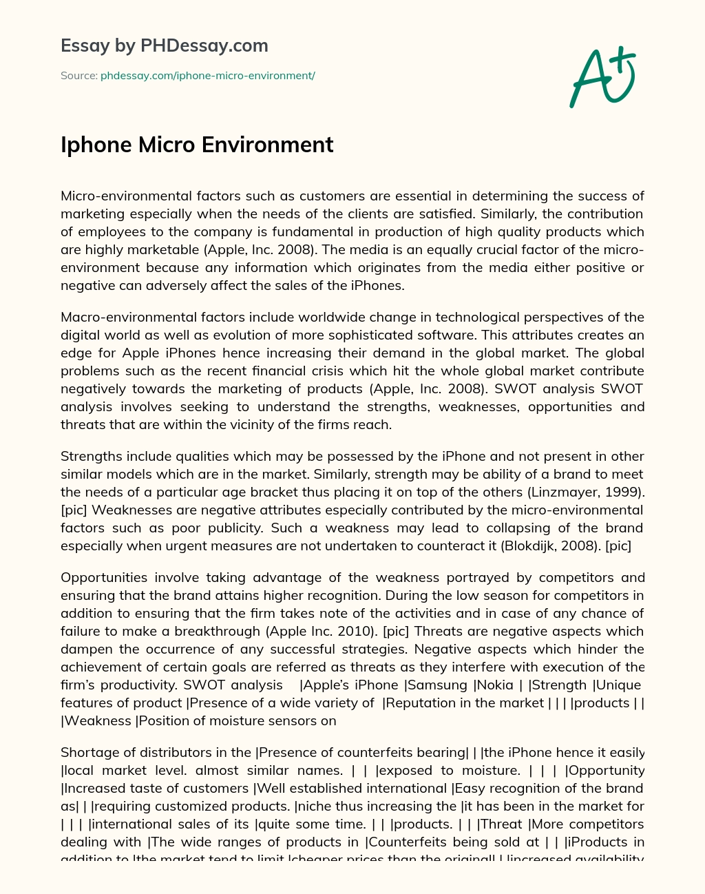 Iphone Micro Environment essay