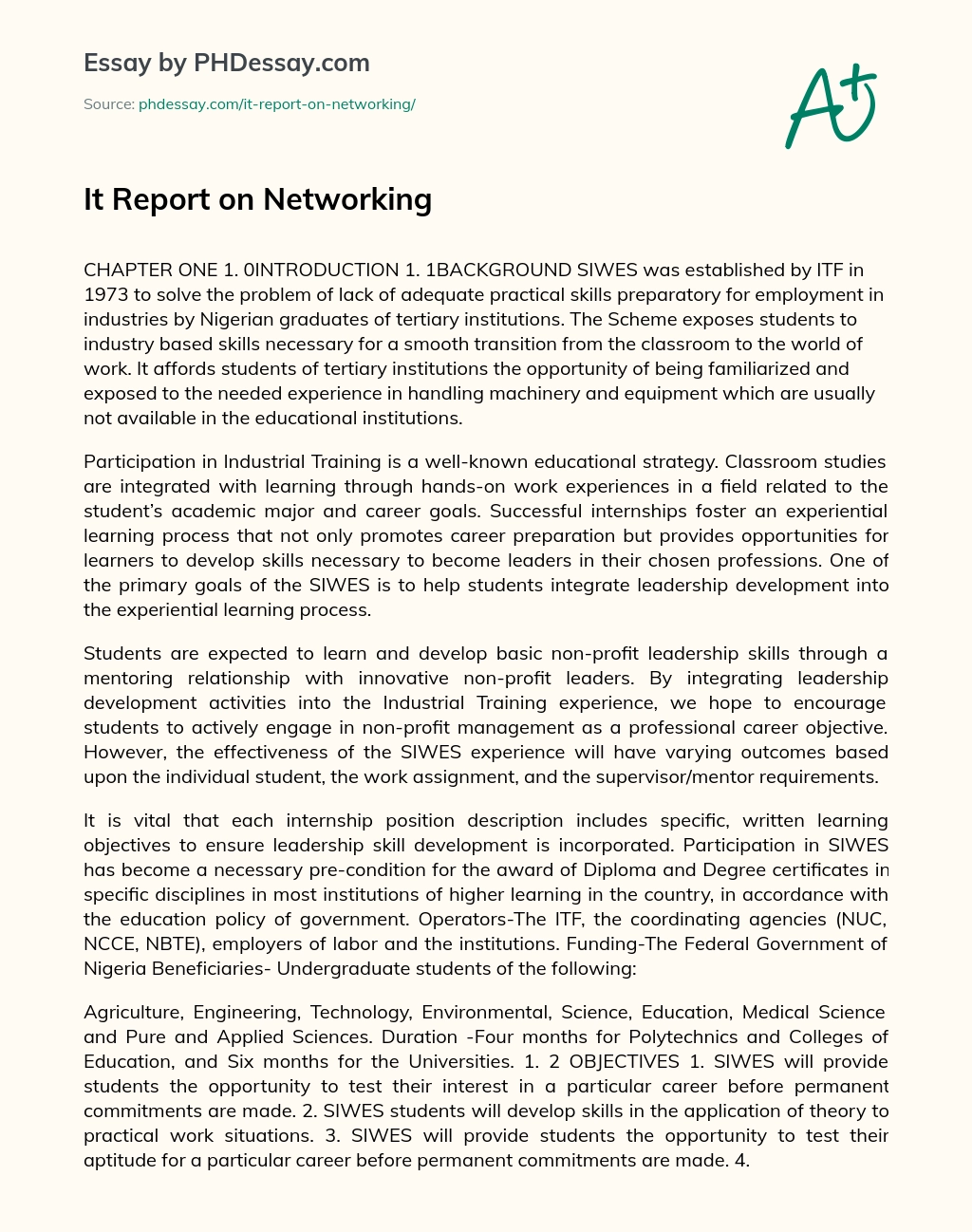 It Report on Networking essay