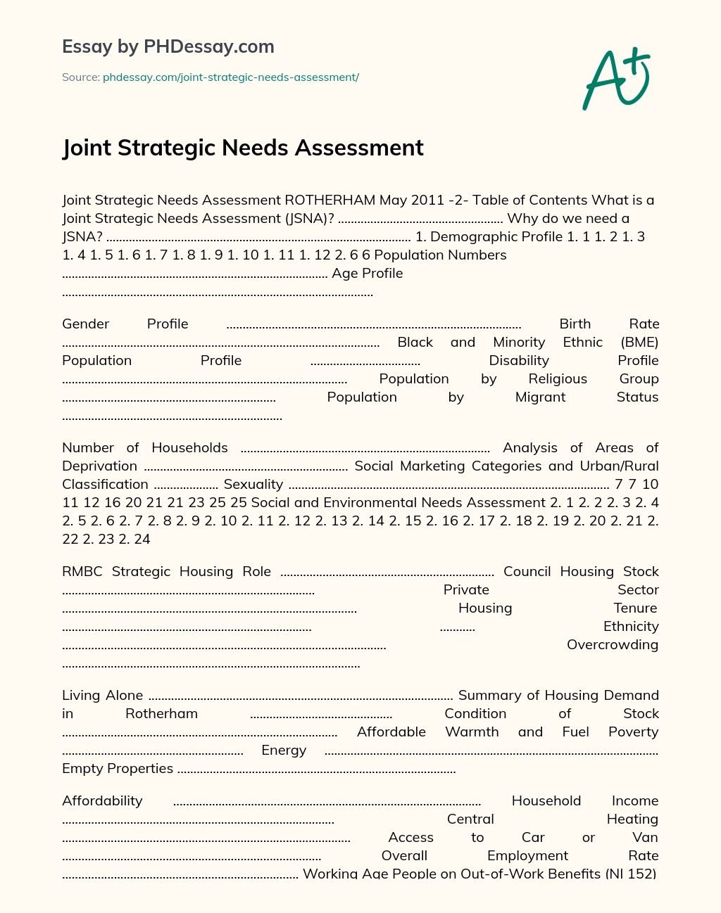 Joint Strategic Needs Assessment essay