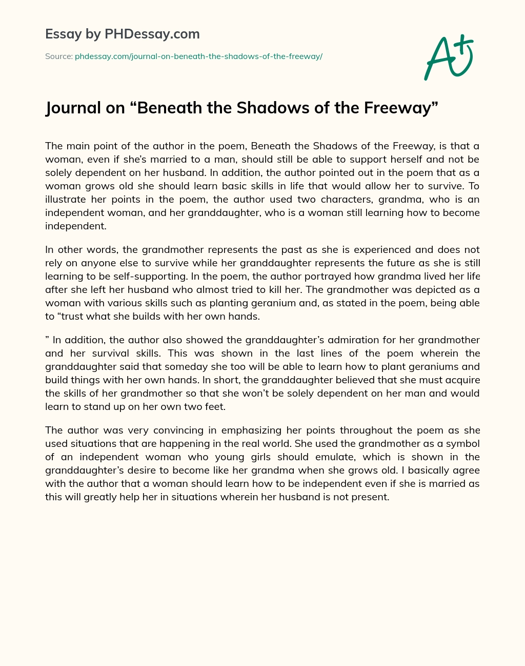 Journal on “Beneath the Shadows of the Freeway” essay