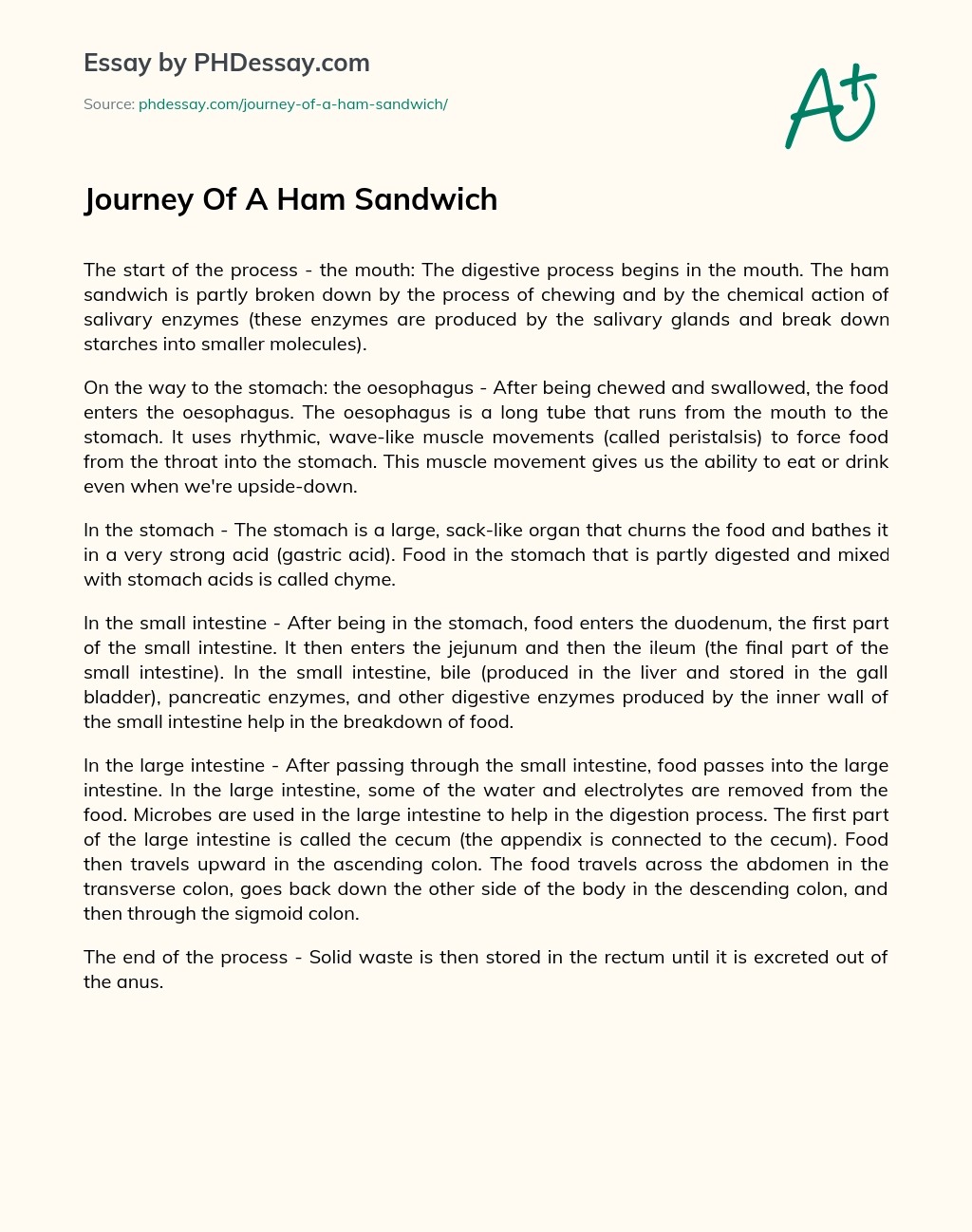 Journey Of A Ham Sandwich essay