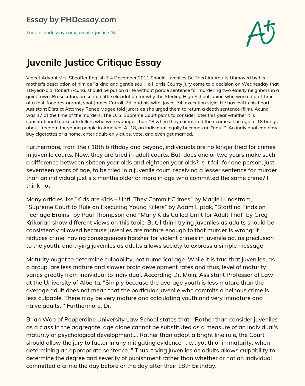 Juvenile Justice Critique Essay essay