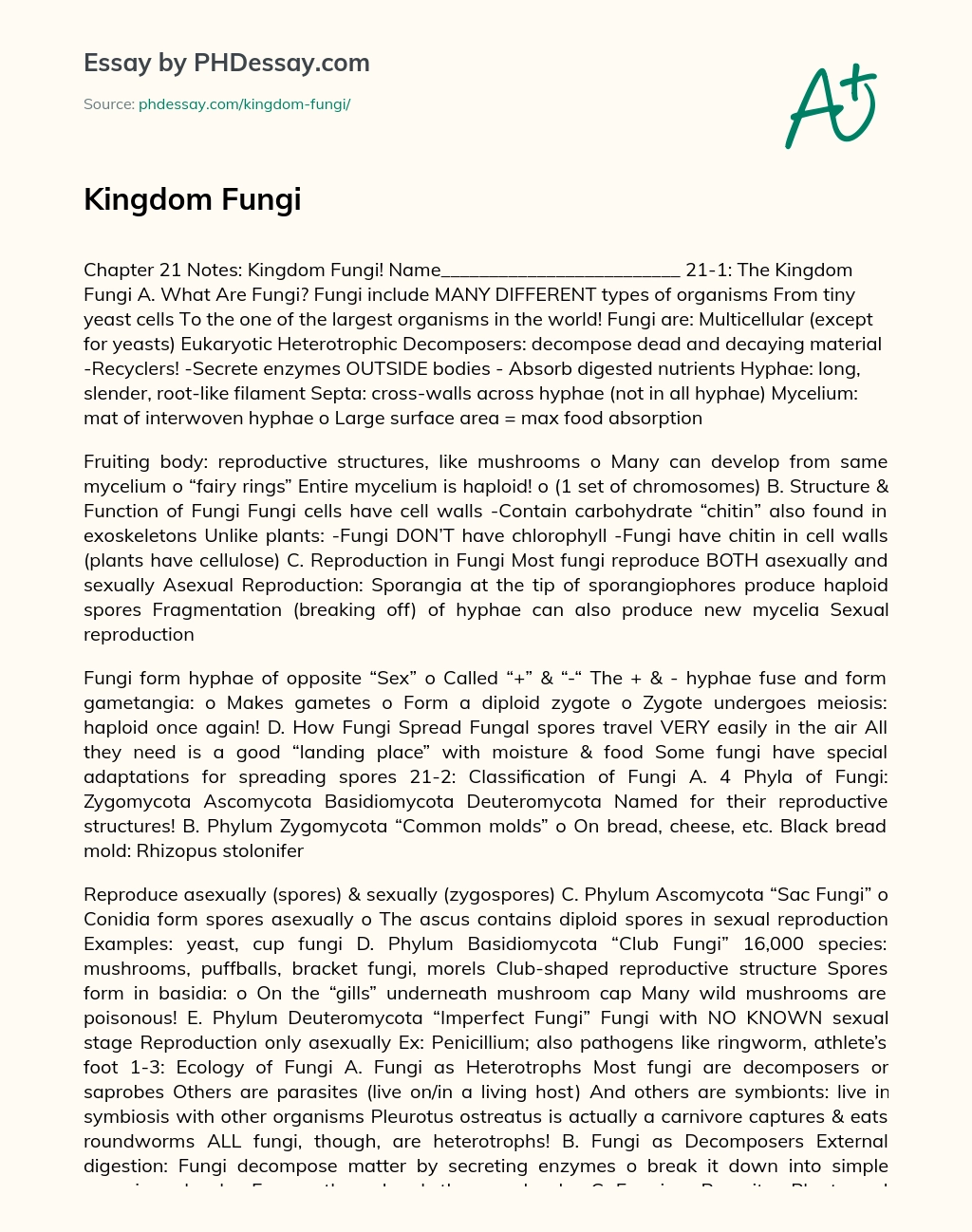Kingdom Fungi essay