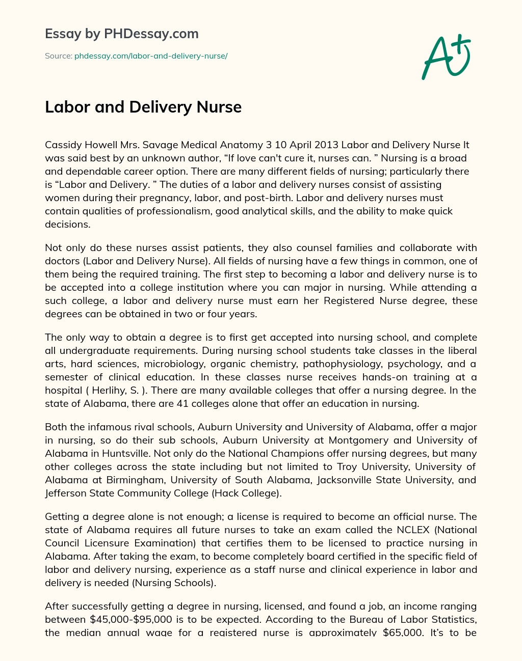 Labor and Delivery Nurse essay