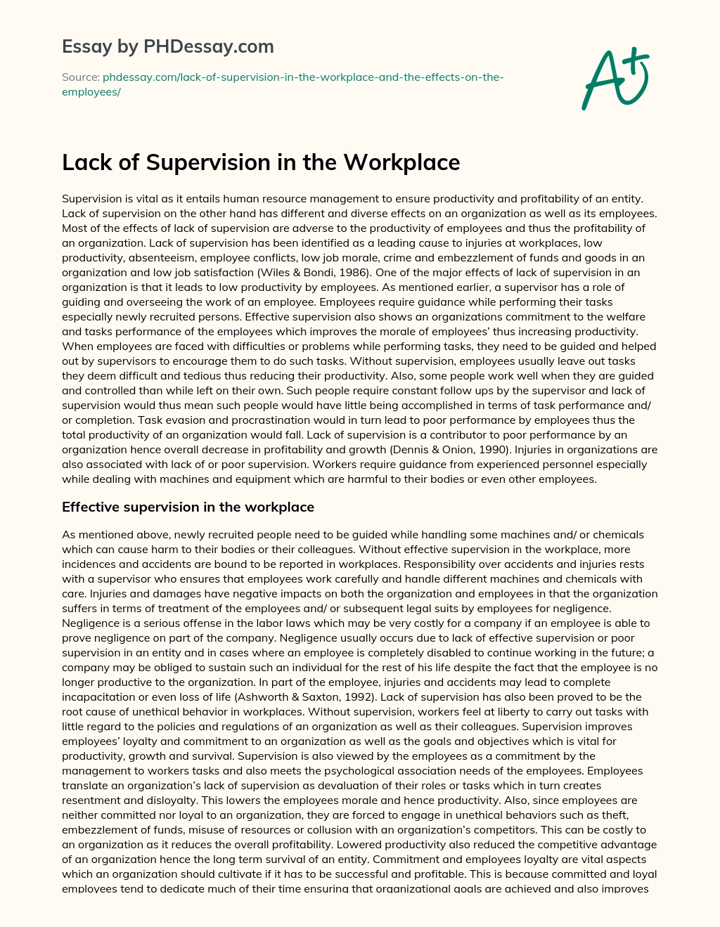 Lack of Supervision in the Workplace essay
