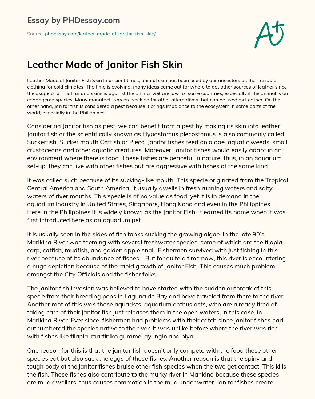 Leather Made of Janitor Fish Skin essay