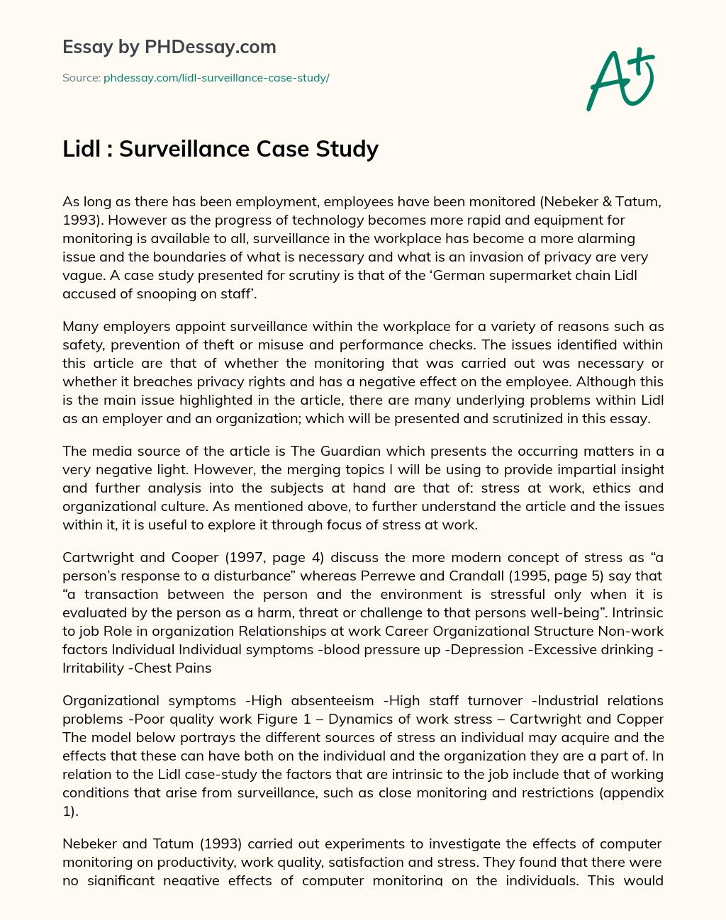 Lidl : Surveillance Case Study essay
