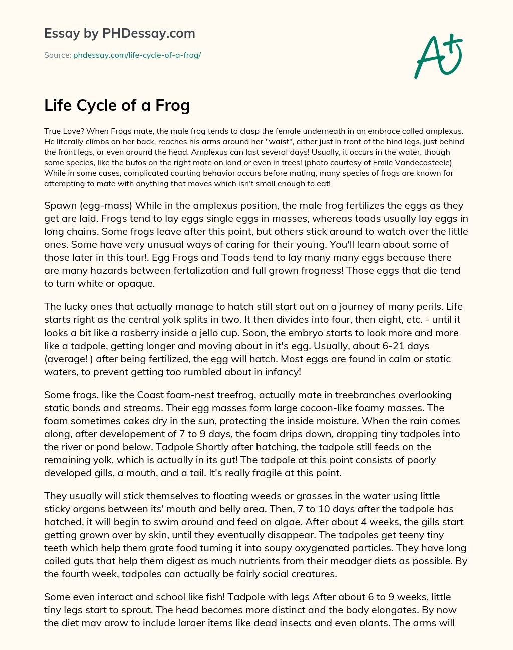 Life Cycle of a Frog essay