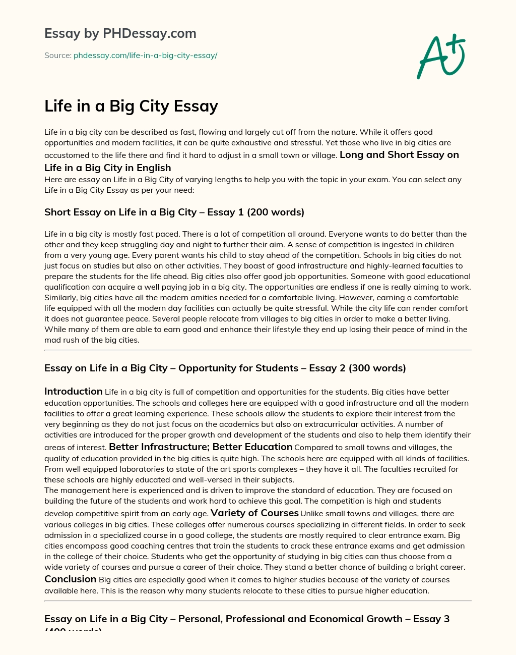 Life in a Big City Essay essay