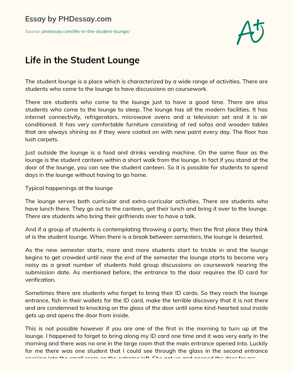 Life in the Student Lounge essay