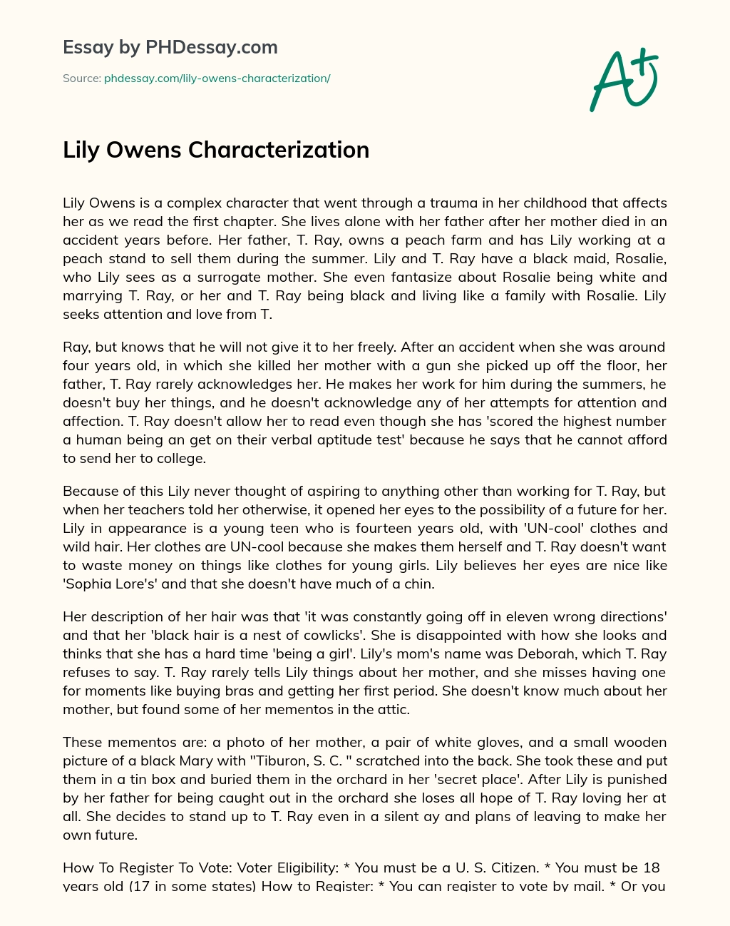 Lily Owens Characterization essay