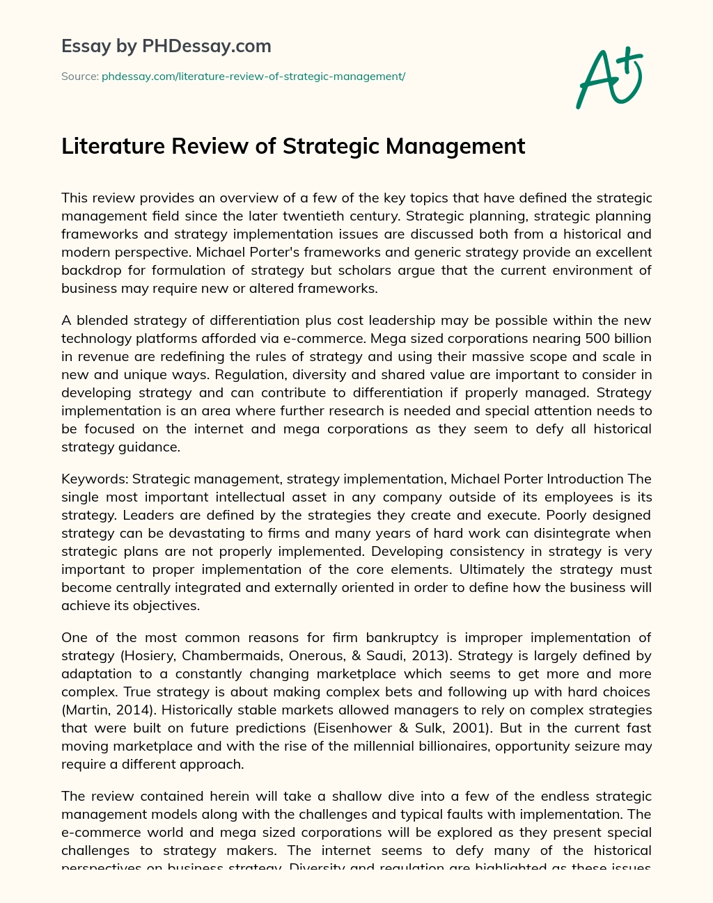 Literature Review of Strategic Management essay