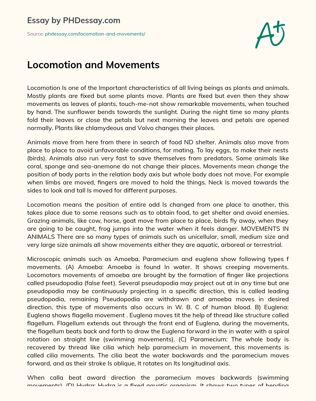 Locomotion and Movements essay