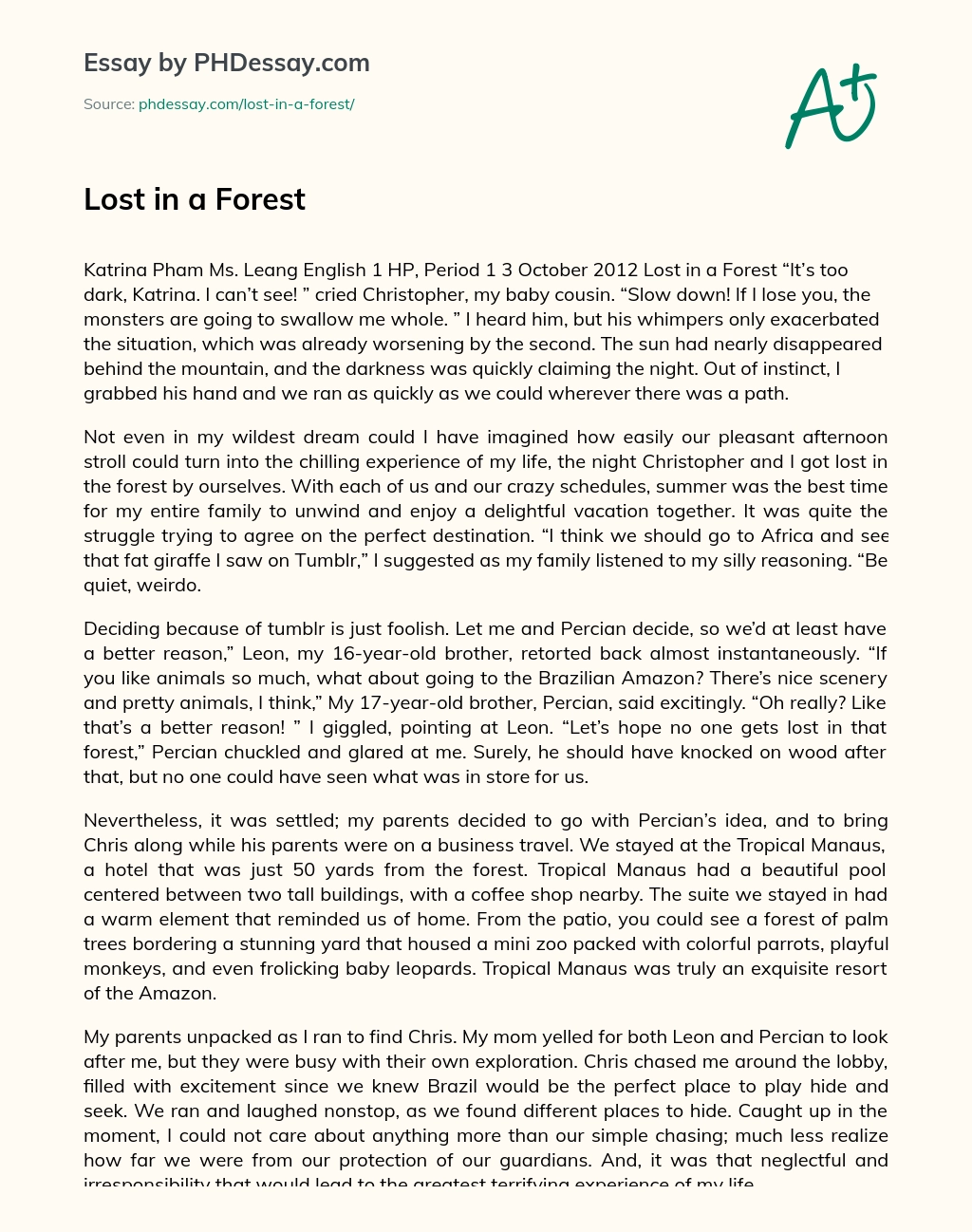 Lost in a Forest essay