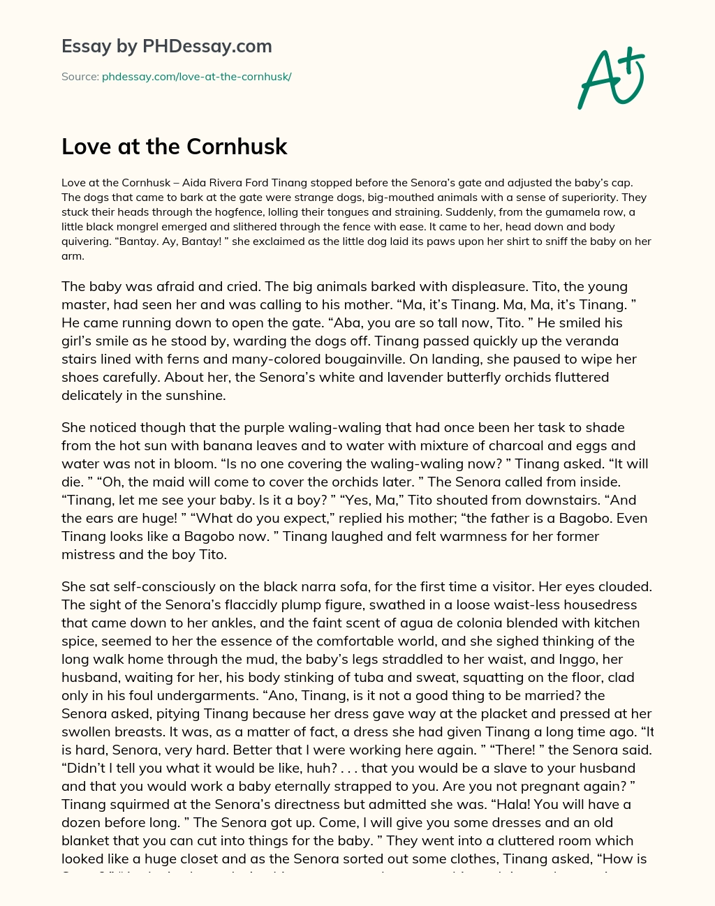 Love at the Cornhusk essay