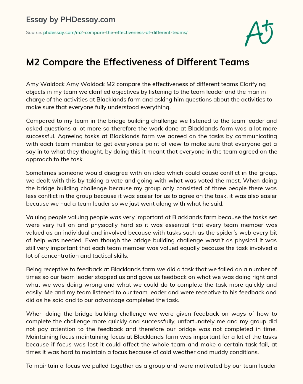 M2 Compare the Effectiveness of Different Teams essay