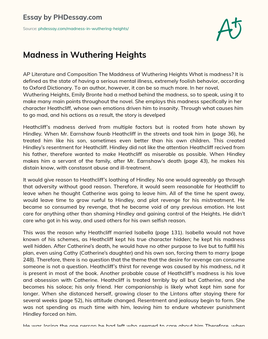 Madness in Wuthering Heights essay