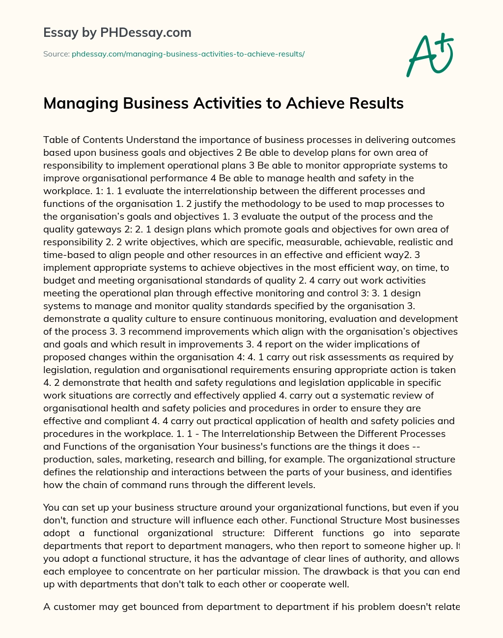 Managing Business Activities to Achieve Results essay