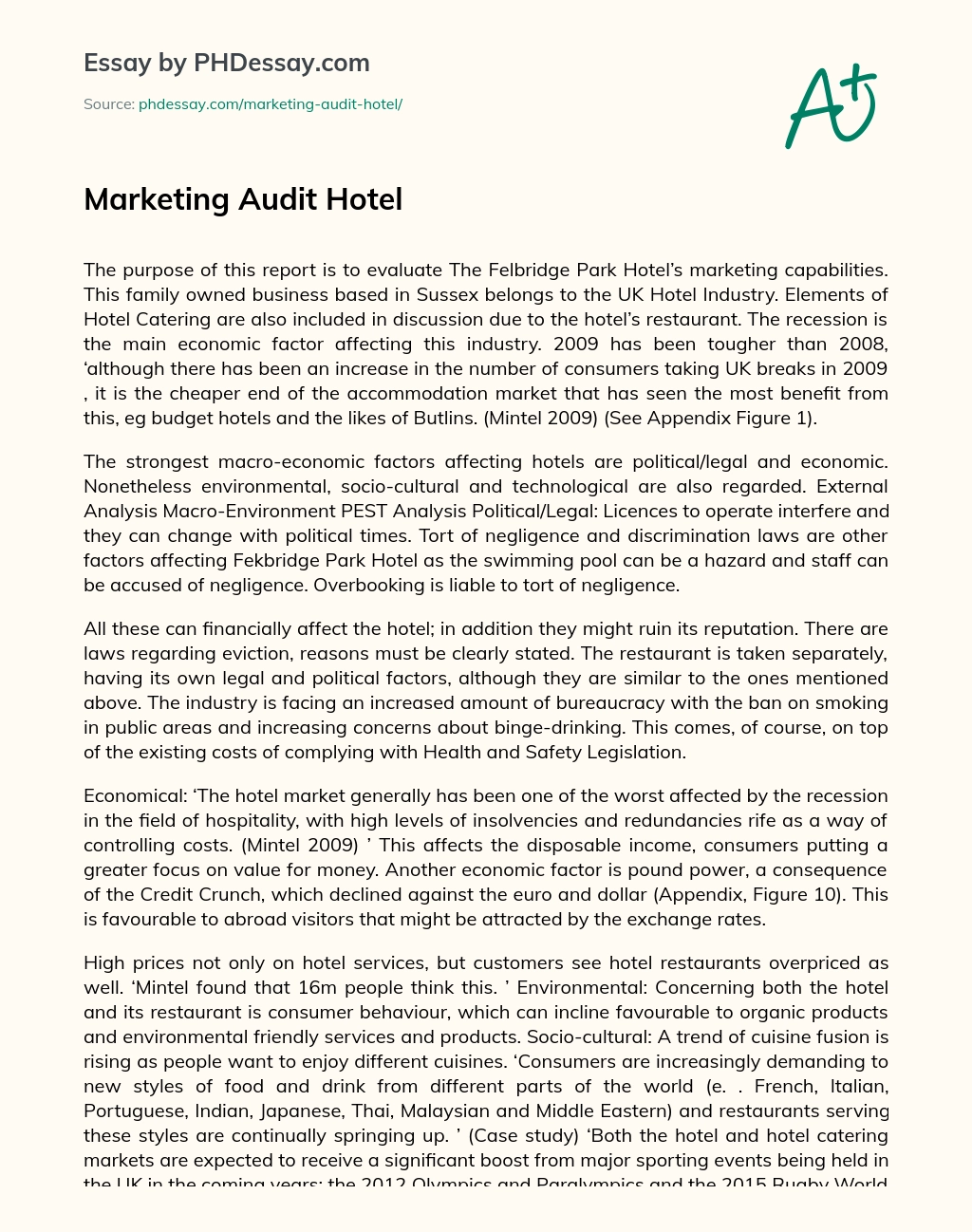 Marketing Audit Hotel essay