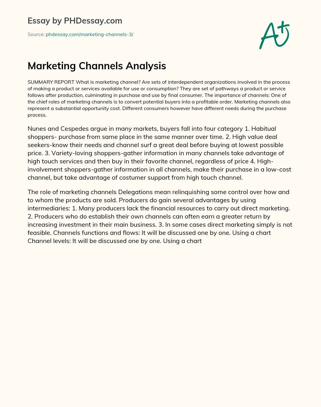 Marketing Channels Analysis essay
