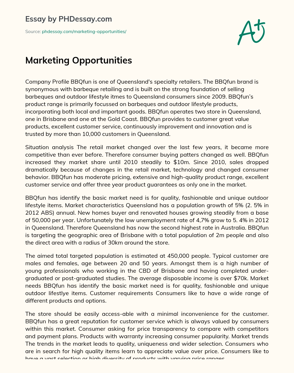 Marketing Opportunities essay
