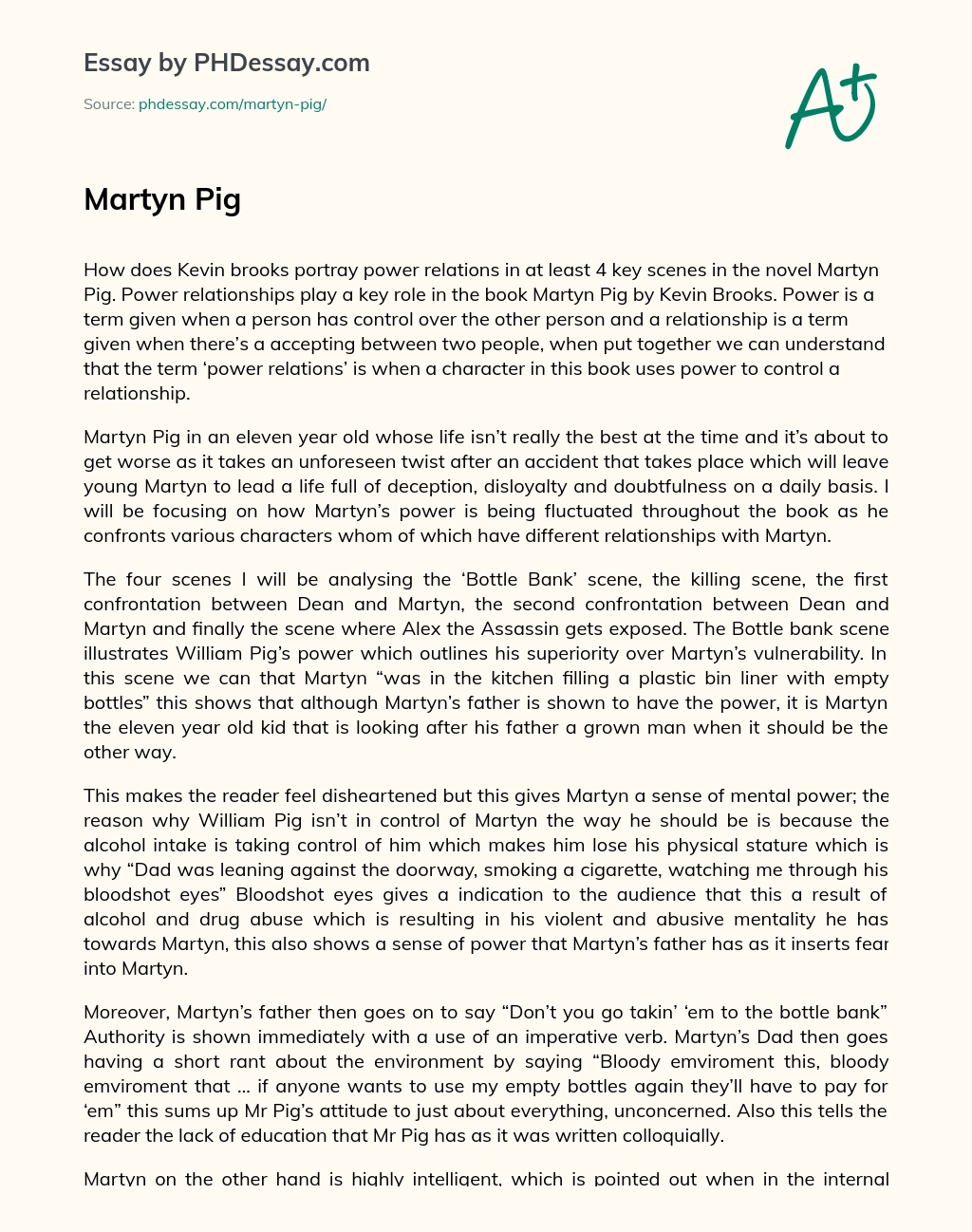 Martyn Pig essay