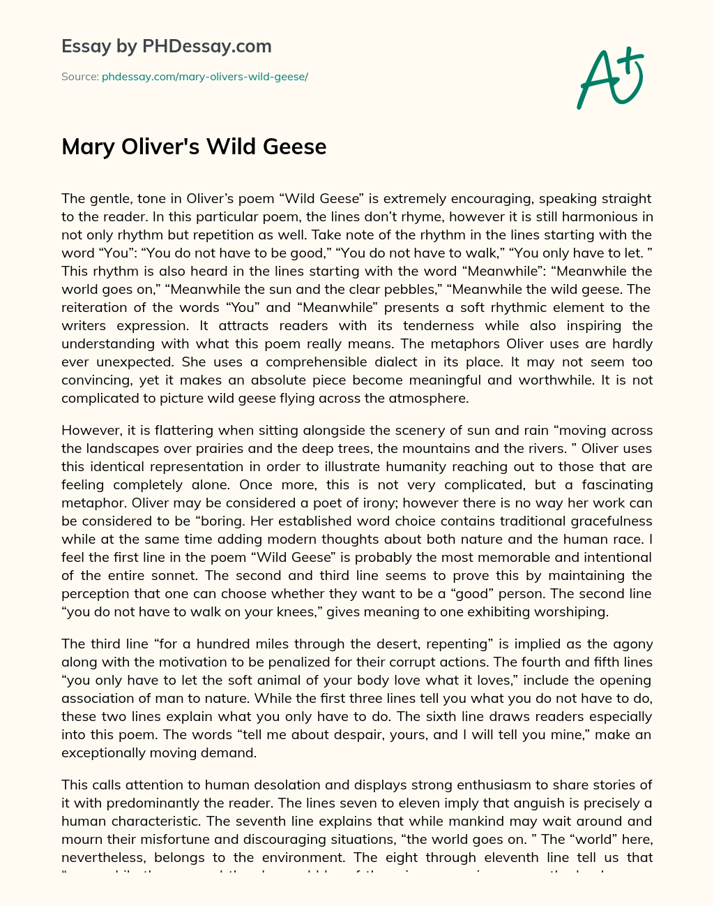 Mary Oliver’s Wild Geese essay