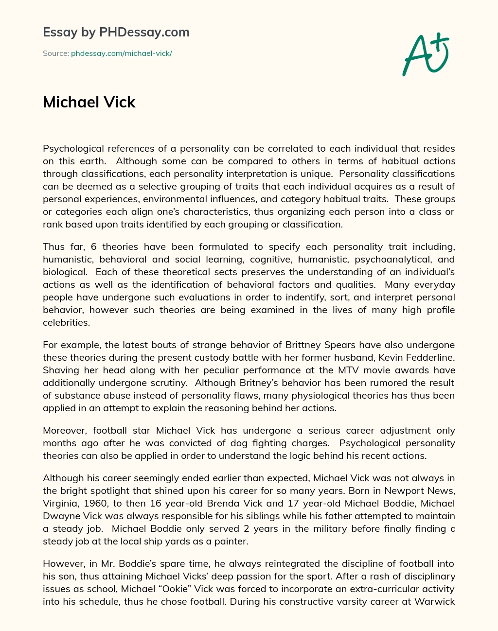 Michael Vick essay