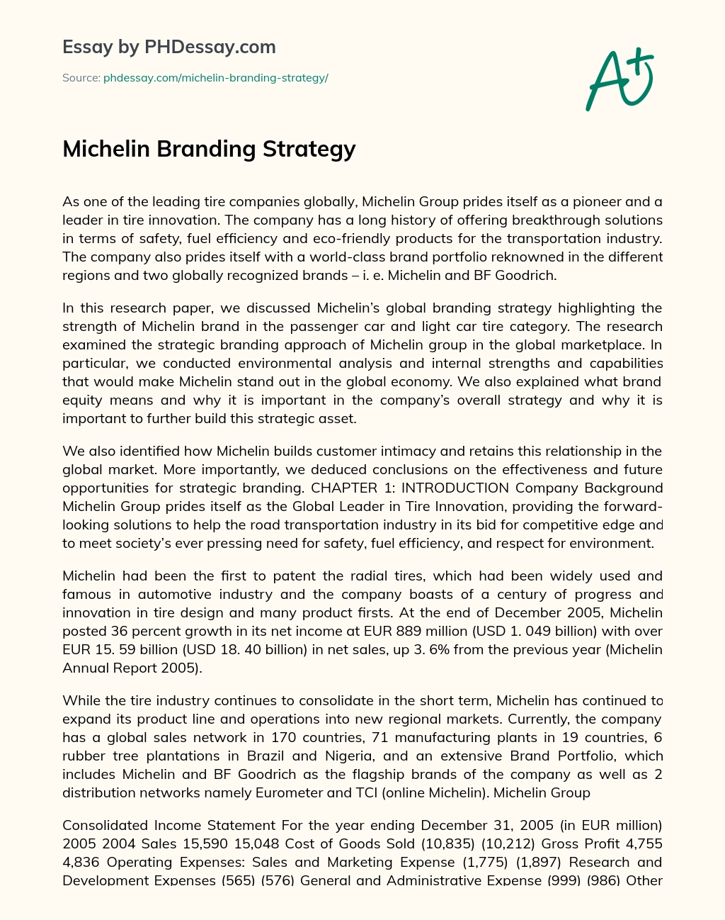 Michelin Branding Strategy essay