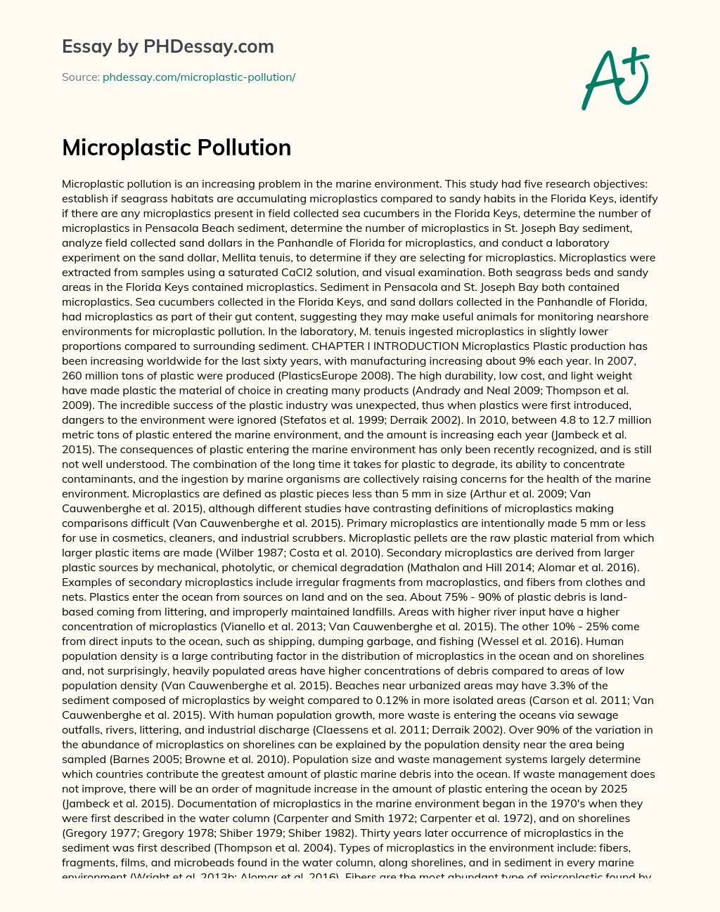 Microplastic Pollution essay