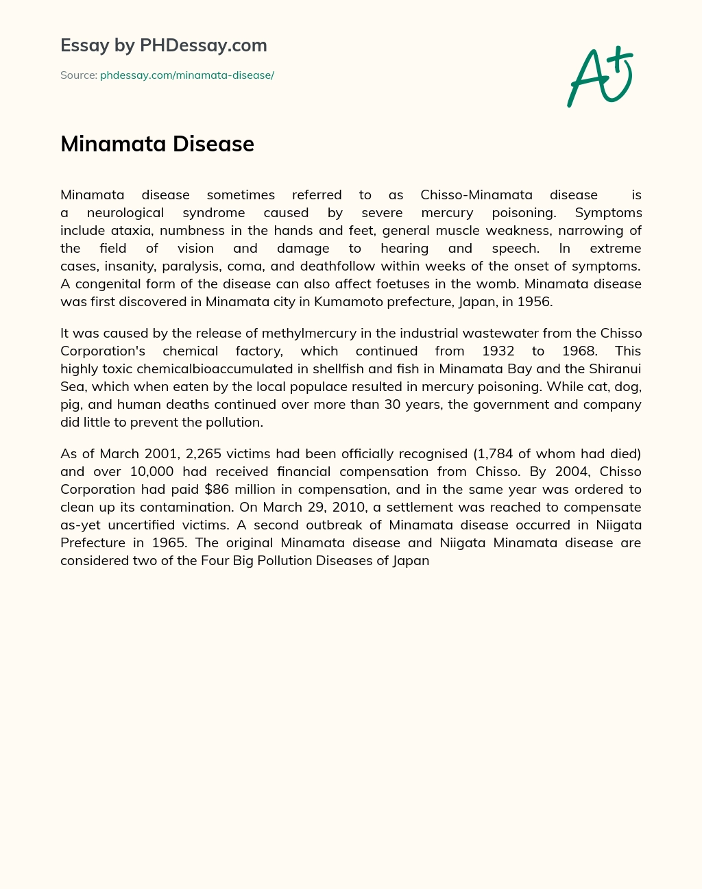 Minamata Disease essay