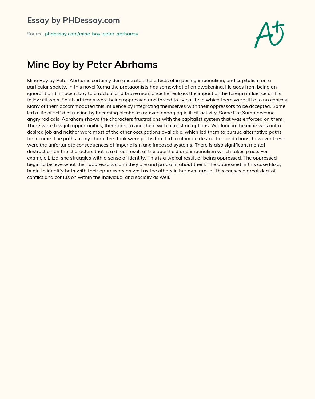 Mine Boy by Peter Abrhams essay