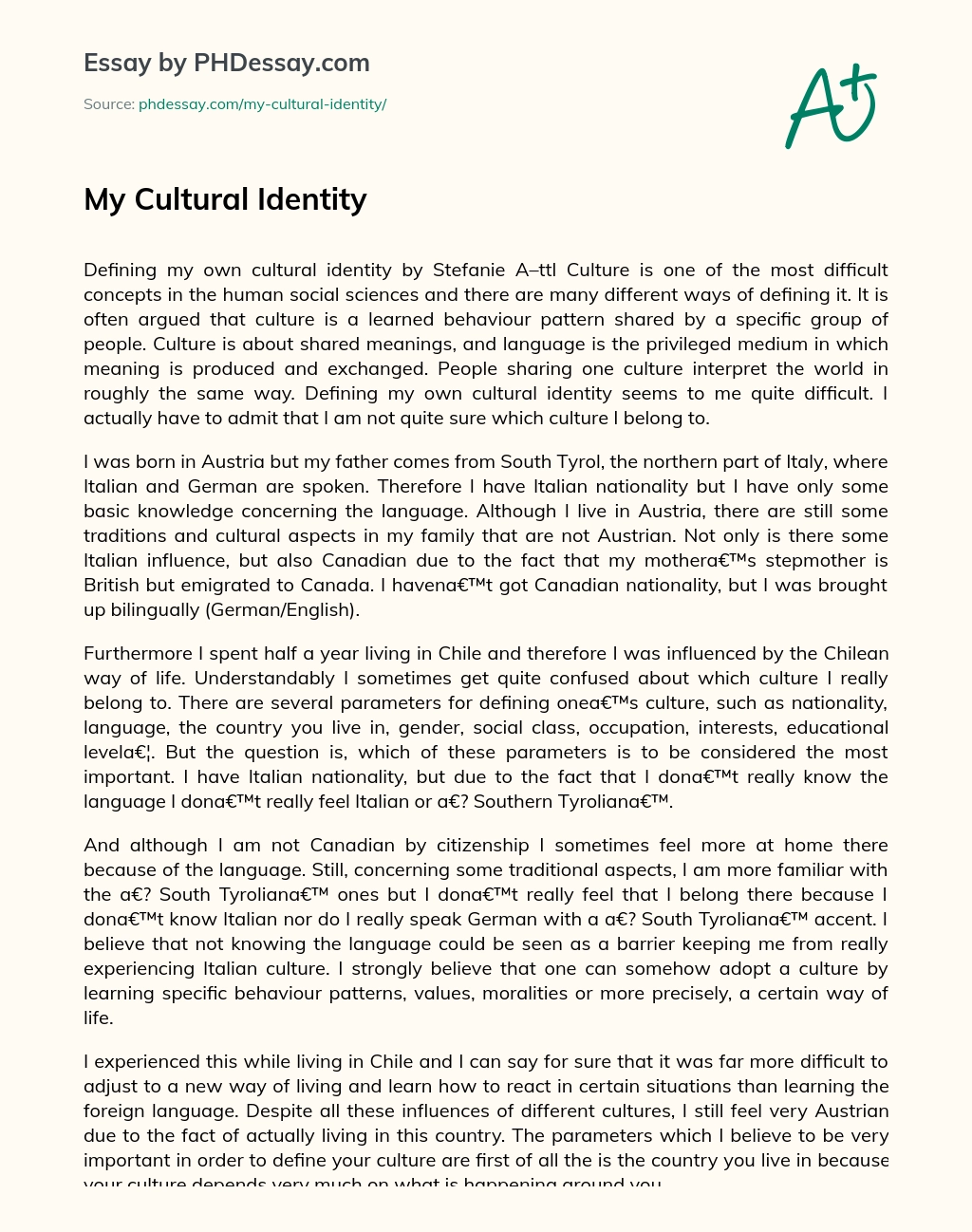 My Cultural Identity essay