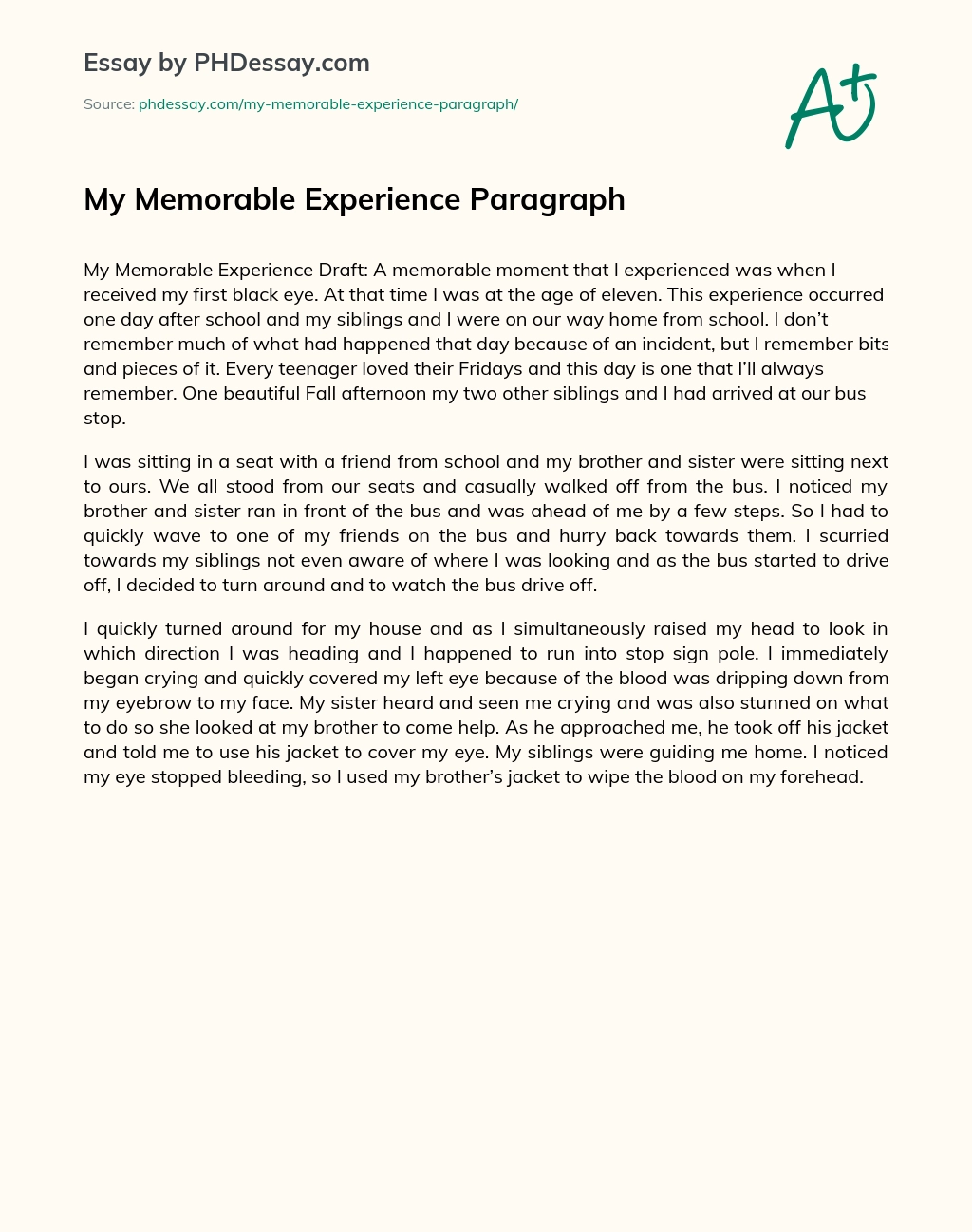 My Memorable Experience Paragraph essay