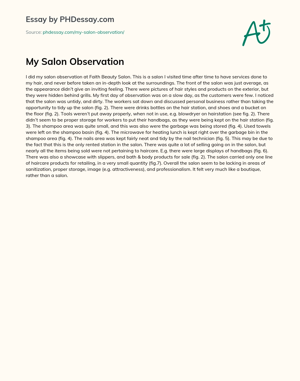 My Salon Observation essay