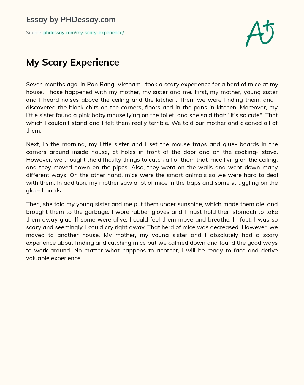 personal narrative essay about scary experience