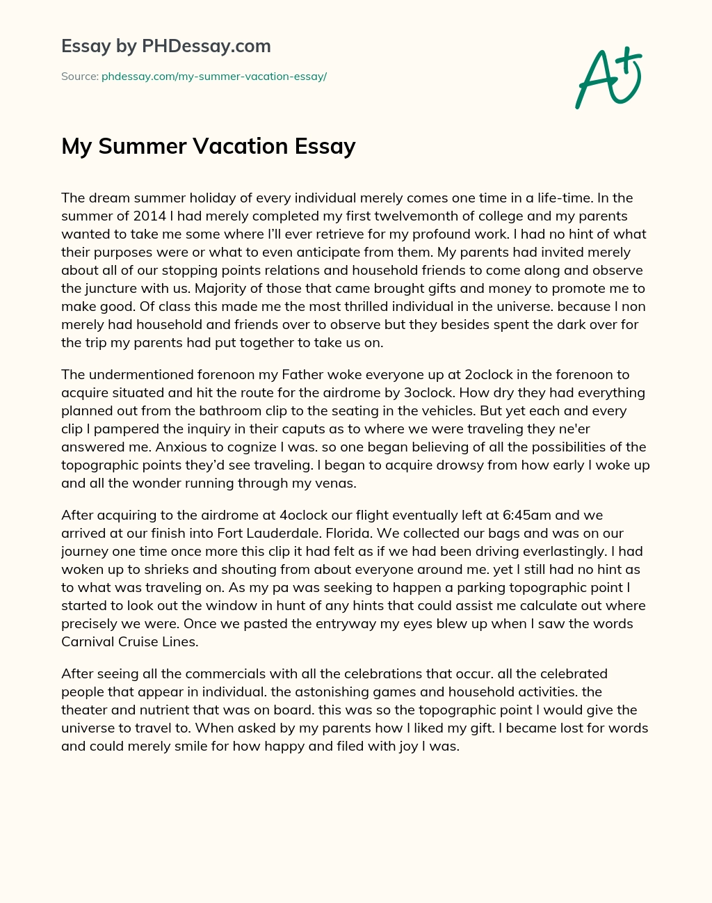 My Summer Vacation Essay essay