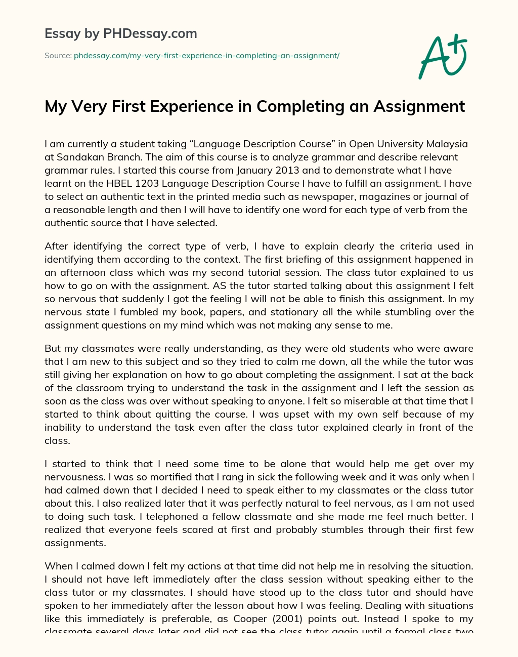 My Very First Experience in Completing an Assignment essay