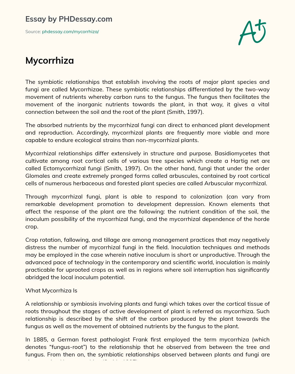 Mycorrhizae: The Symbiotic Relationship between Plants and Fungi. essay
