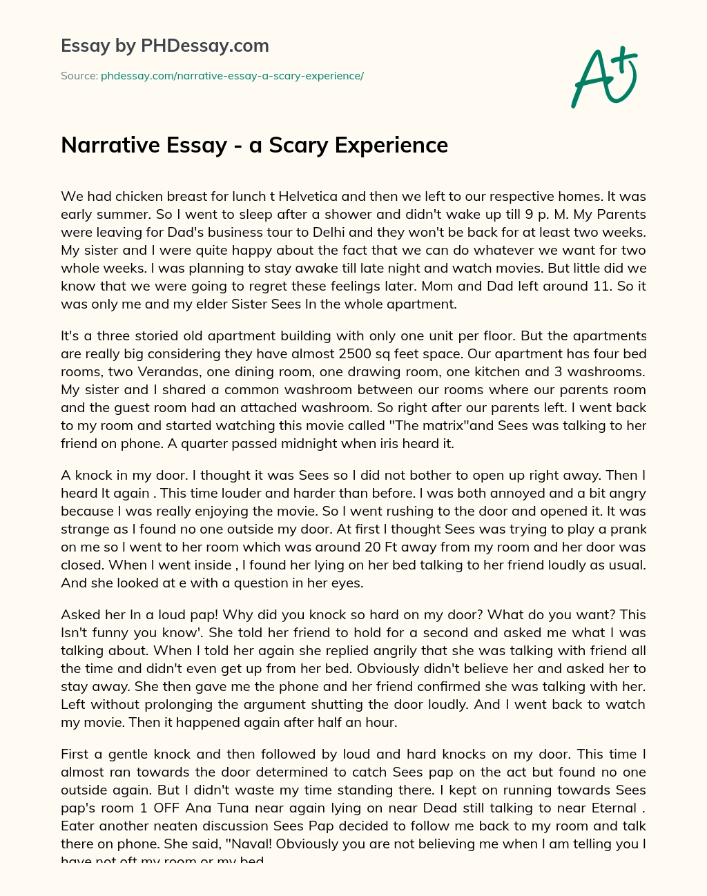 Narrative Essay – a Scary Experience essay