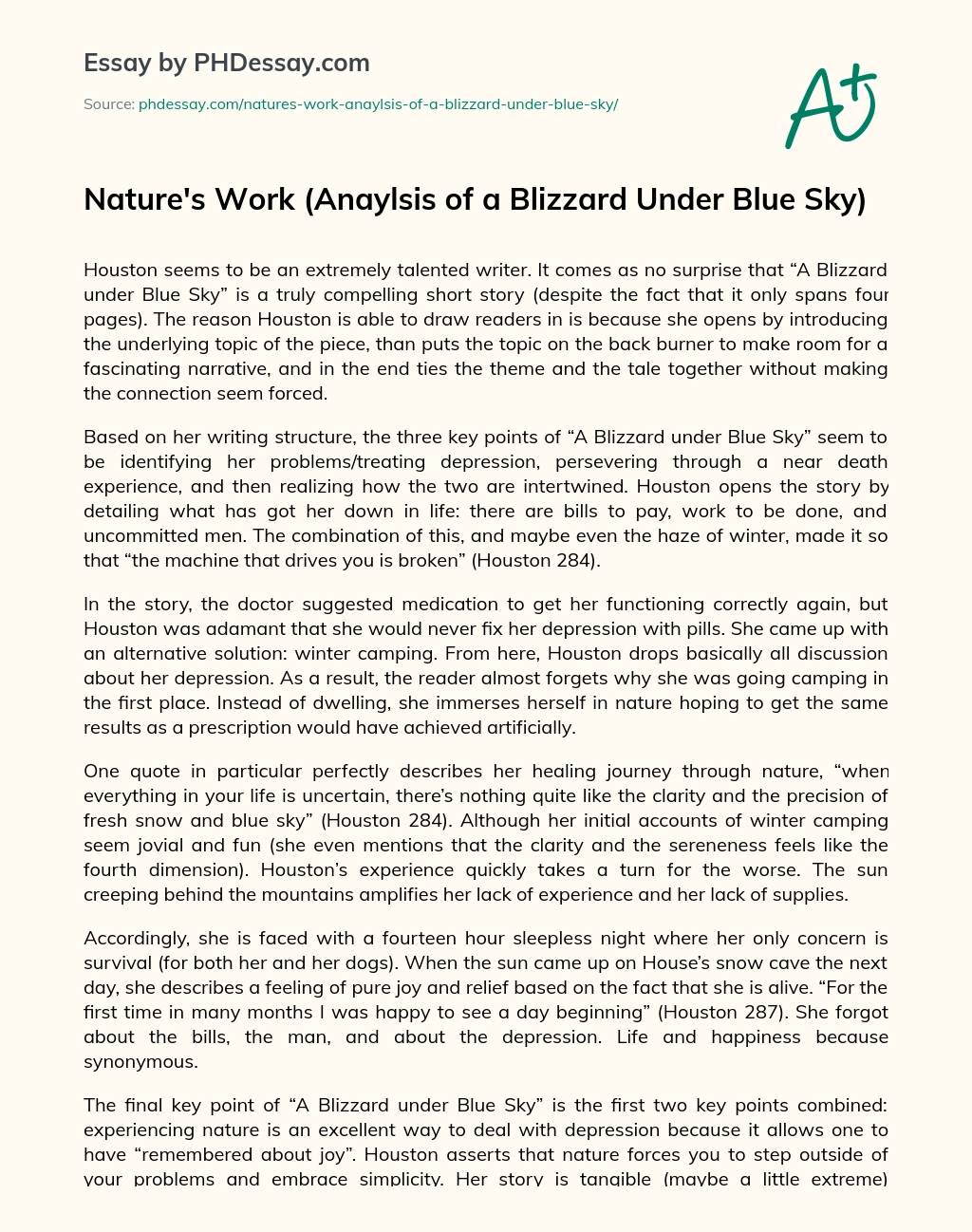 Nature’s Work (Anaylsis of a Blizzard Under Blue Sky) essay