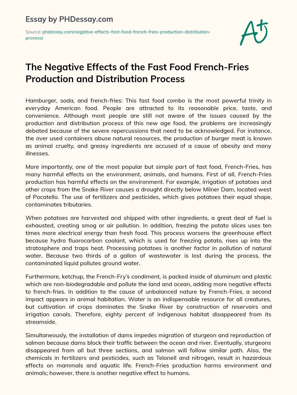 The Negative Effects of the Fast Food French-Fries Production and Distribution Process essay