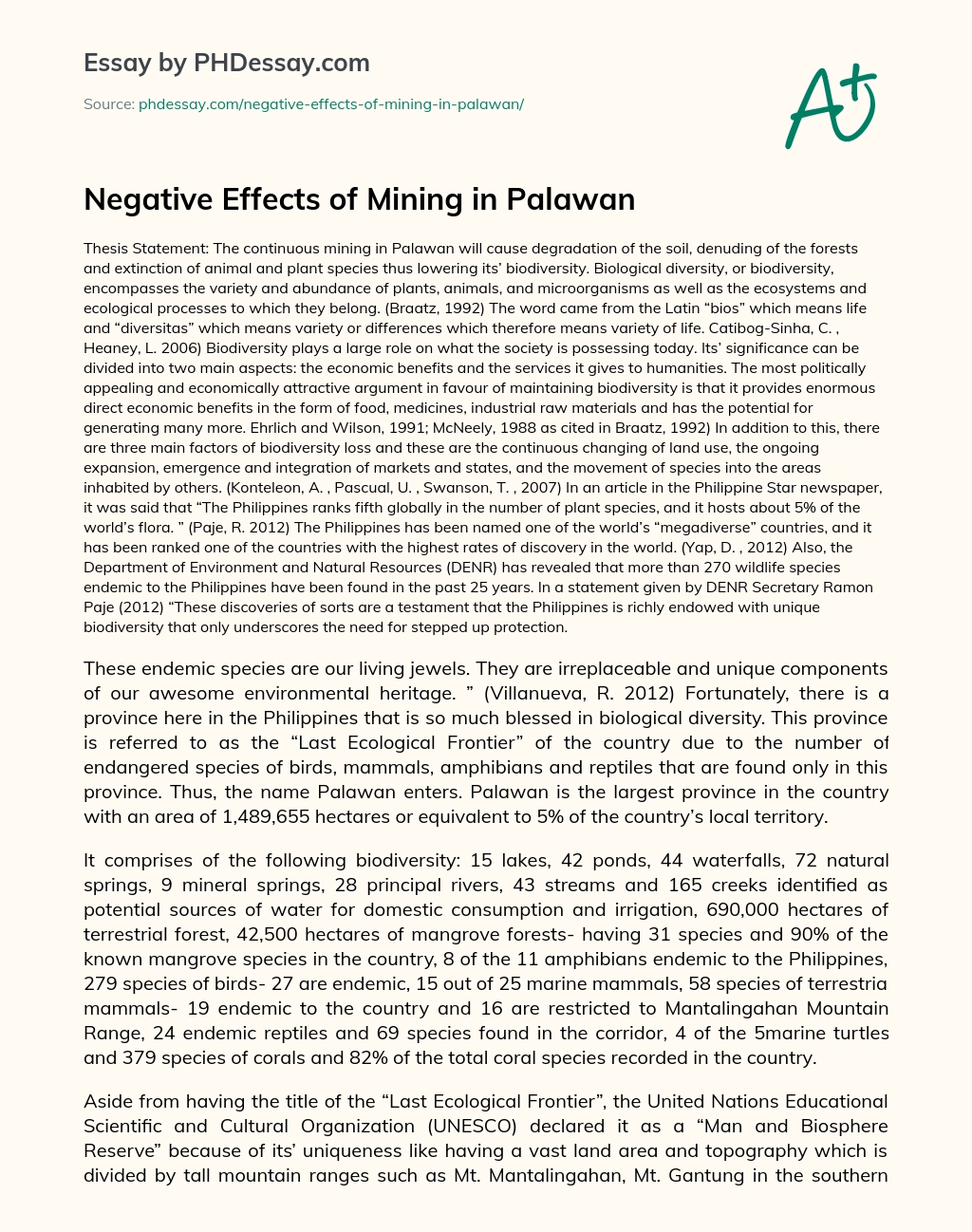 Negative Effects of Mining in Palawan essay