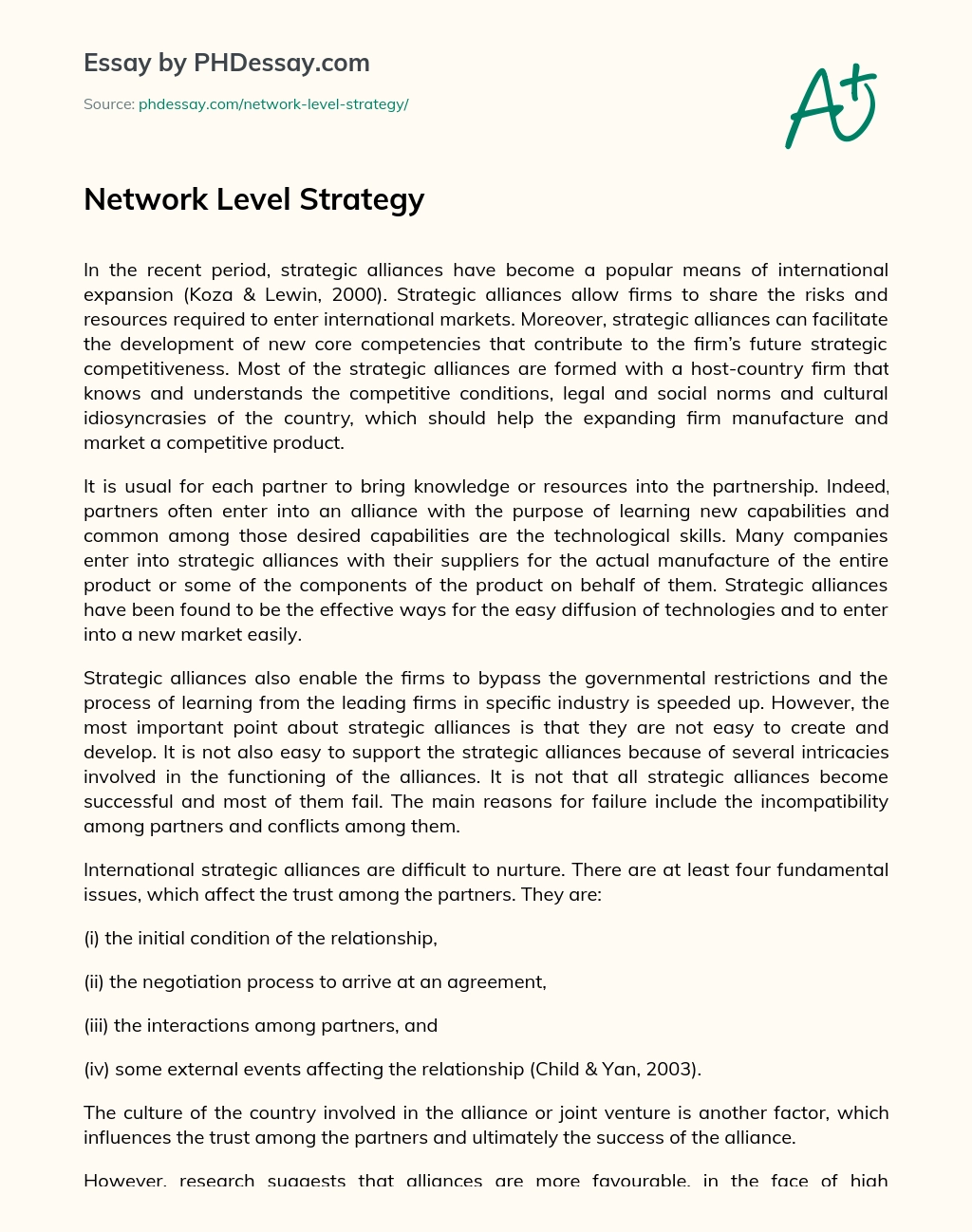 Network Level Strategy essay