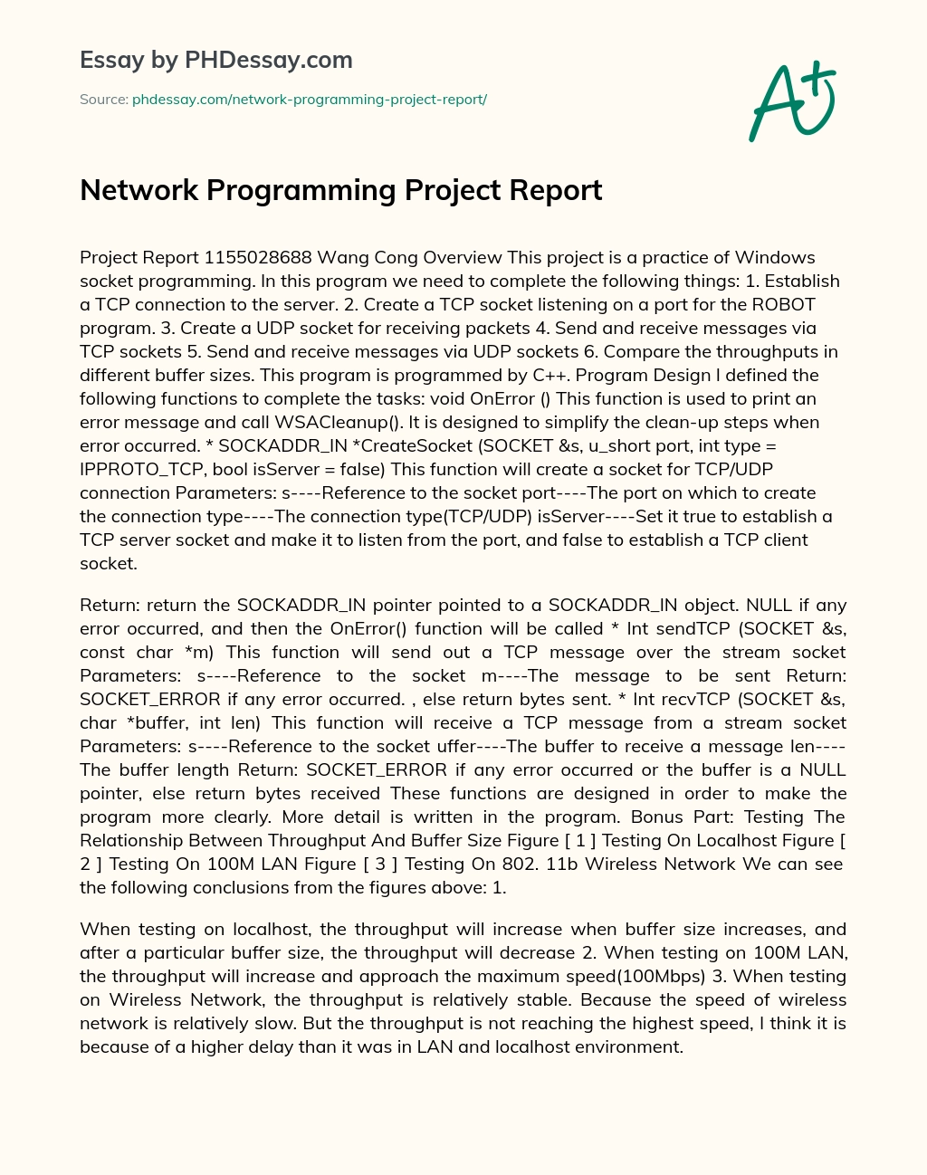 Network Programming Project Report essay