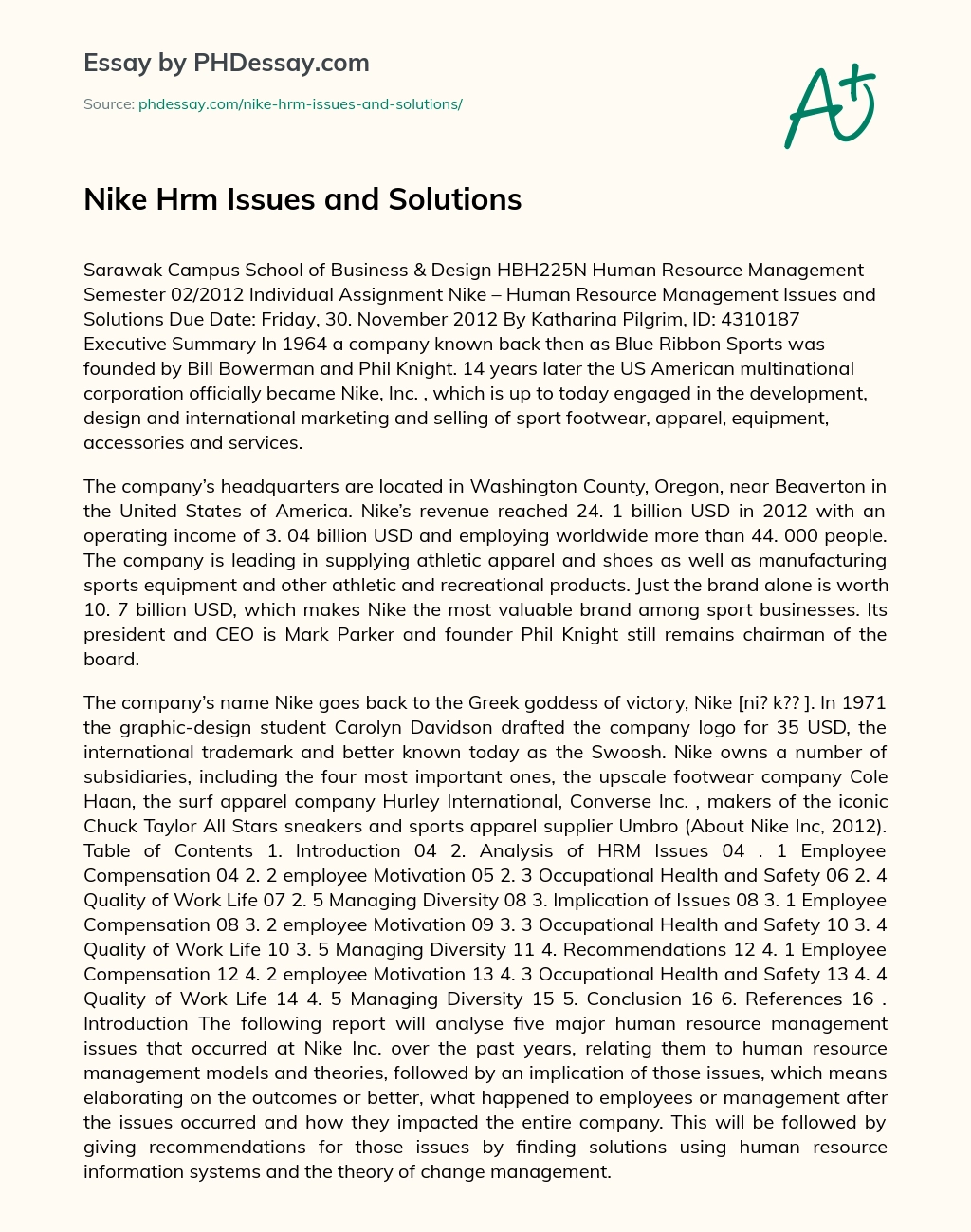 Nike Hrm Issues and Solutions essay
