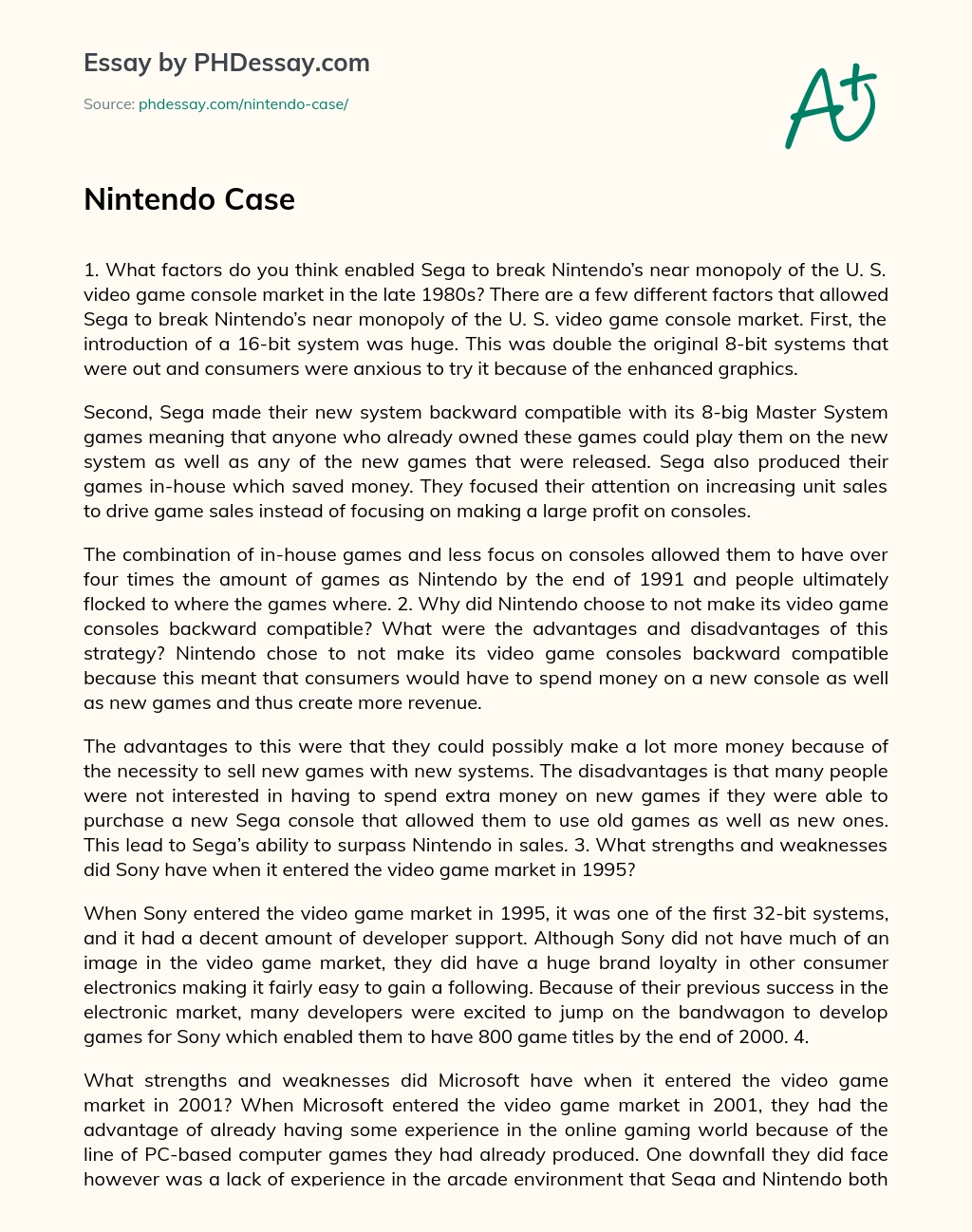 Nintendo Case essay