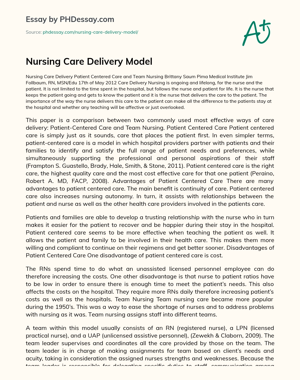 Nursing Care Delivery Model essay